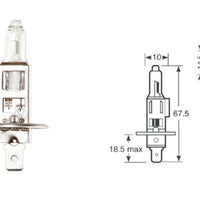 IllumiNite H1 Ice White Main Beam Bulb Upgrade – 6500K Bright White (448 | P14.5s)