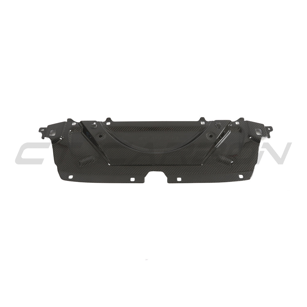 BMW G90 M5 & G99 M5 TOURING 2024+ CARBON FIBRE SLAM PANEL