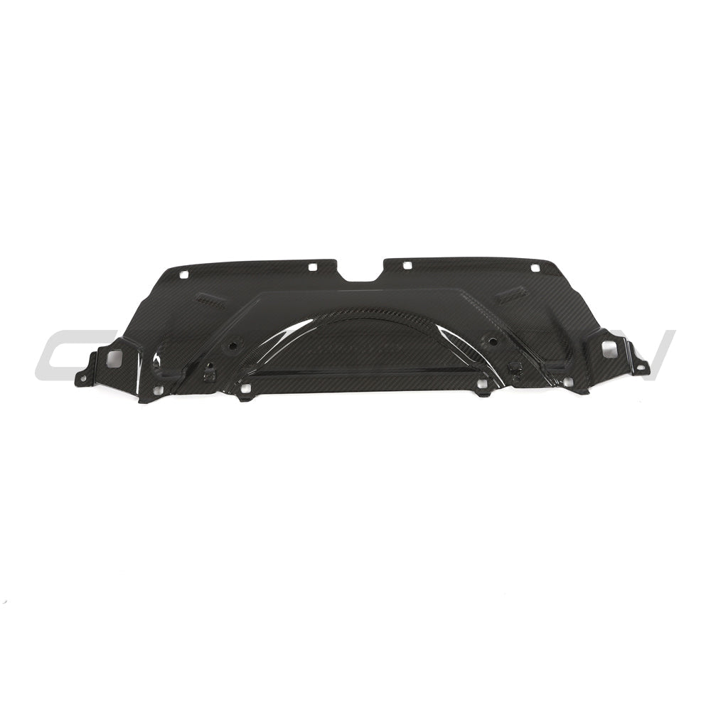 BMW G90 M5 & G99 M5 TOURING 2024+ CARBON FIBRE SLAM PANEL