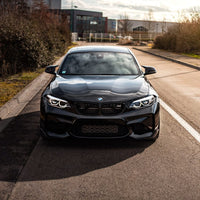 BMW M2/M2C F87 CARBON FIBRE SPLITTERS - V1