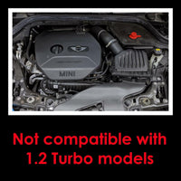 RamAir Performance Induction Kit - Mini 1.5 & 2.0 (B38 & B48 Engine)