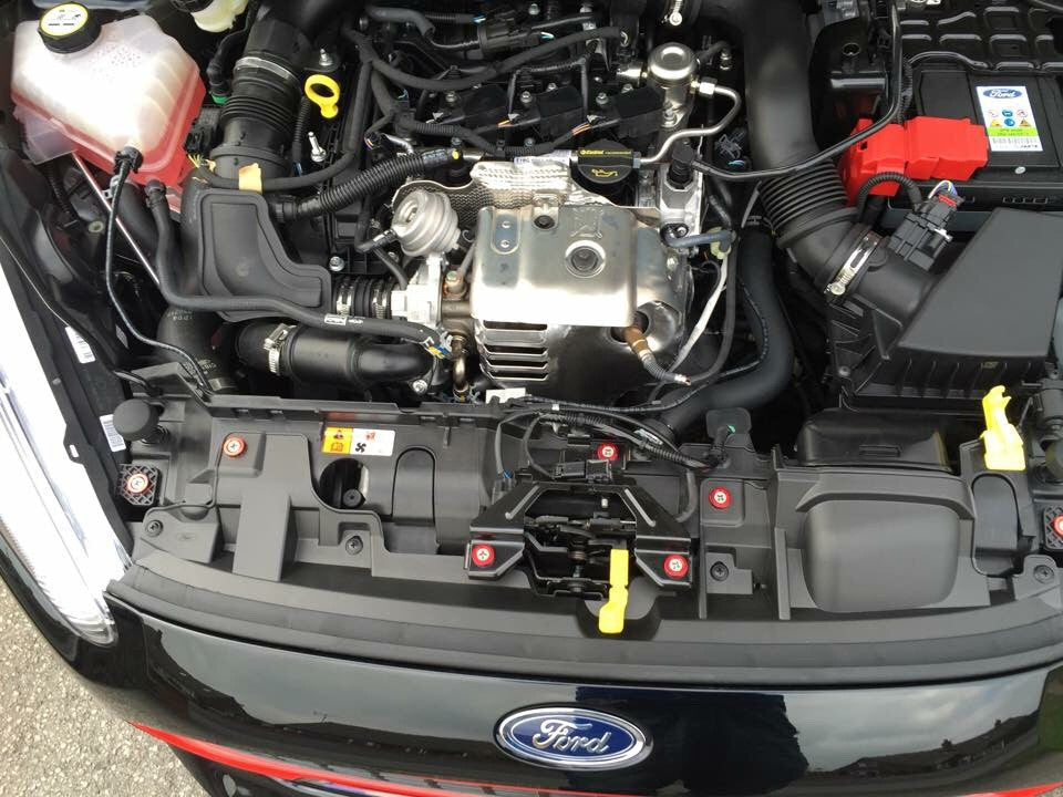 Ford Fiesta MK7 / MK7.5 - Engine Bay Dress-Up Kit – Anodised Washers ...