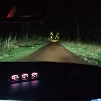 #Enhanced HID Kit for MK3 Focus Facelift | 6000K Ice White | Optional HID Clips
