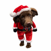 Festive Fudge Dog Air Freshener – Christmas Edition | CEUK