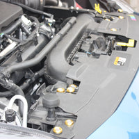 Fiesta MK8 & MK8.5 Engine Bay Dress-Up Kit | Anodized Washers & Stainless Screws | CEUK