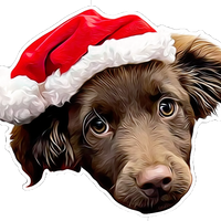 Festive Fudge Dog Air Freshener – Christmas Edition | CEUK